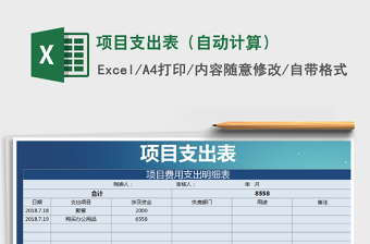 项目支出表