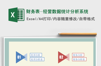 2021年財務表-經(jīng)營數(shù)據(jù)統(tǒng)計分析系統(tǒng)