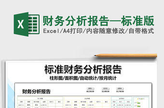 2021年財(cái)務(wù)分析報(bào)告—標(biāo)準(zhǔn)版