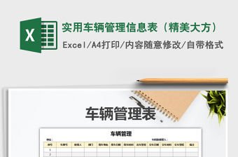 2021年實用車輛管理信息表（精美大方）