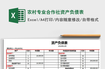 2021年農(nóng)村專業(yè)合作社資產(chǎn)負(fù)債表