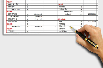 2021年農(nóng)村專業(yè)合作社資產(chǎn)負(fù)債表