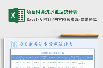 2021年项目财务流水数据统计表免费下载