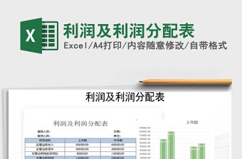 2021年利润及利润分配表