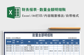 2021年財務(wù)報表-數(shù)量金額明細賬