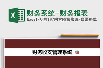 2021年財(cái)務(wù)系統(tǒng)-財(cái)務(wù)報(bào)表