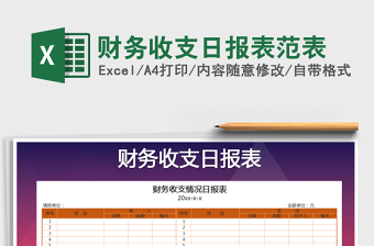 2021年財務(wù)收支日報表范表