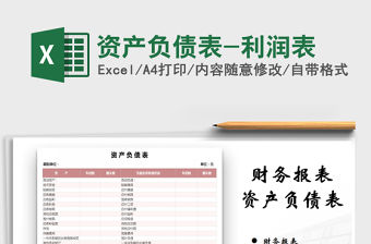 2021年資產負債表-利潤表