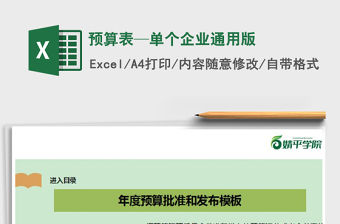 2021年預算表—單個企業通用版