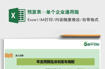 2021年預(yù)算表—單個(gè)企業(yè)通用版