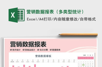 2021年營銷數據報表（多類型統計）