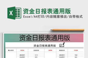 2021年資金日報表通用版