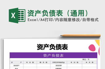 2021年資產(chǎn)負債表（通用）