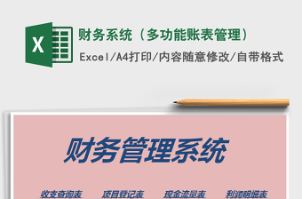 2021年財務(wù)系統(tǒng)（多功能賬表管理）