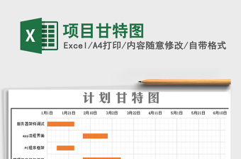 2021年项目甘特图