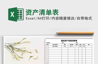 2021年資產清單表