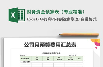 2021年財(cái)務(wù)資金預(yù)算表（專業(yè)精準(zhǔn)）