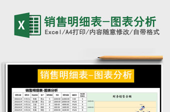 2021年銷售明細表-圖表分析