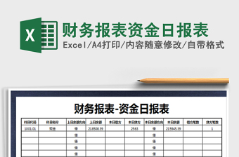 2021年財務(wù)報表資金日報表