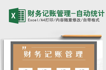 2021年財務記賬管理-自動統(tǒng)計
