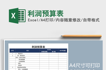 2021年利潤預算表