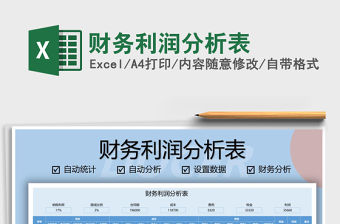 2021年財務利潤分析表