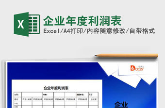 2021年企業年度利潤表