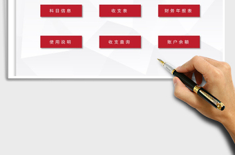 2021年財(cái)務(wù)記賬管理-統(tǒng)計(jì)查詢