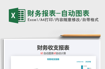 2021年財務(wù)報表-自動圖表
