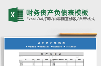 2021年財(cái)務(wù)資產(chǎn)負(fù)債表模板