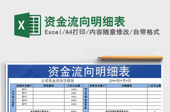 2021年資金流向明細表