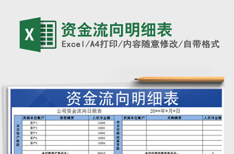 2021年資金流向明細(xì)表