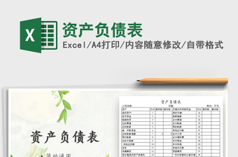 2021年資產(chǎn)負(fù)債表