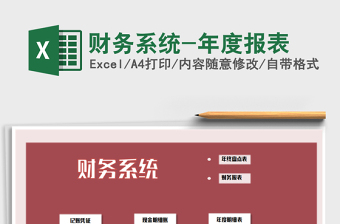2021年財(cái)務(wù)系統(tǒng)-年度報(bào)表