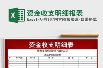2021年資金收支明細報表