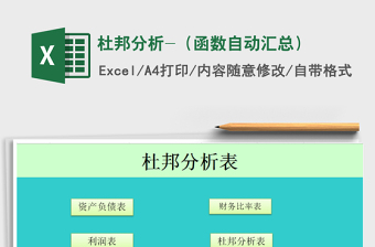 2021年杜邦分析-（函數(shù)自動匯總）