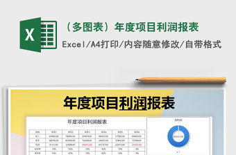 2021年（多圖表）年度項(xiàng)目利潤(rùn)報(bào)表