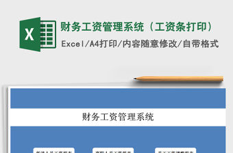 2021年財務工資管理系統（工資條打印）