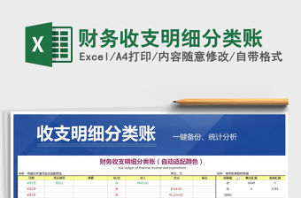 2021年財務收支明細分類賬