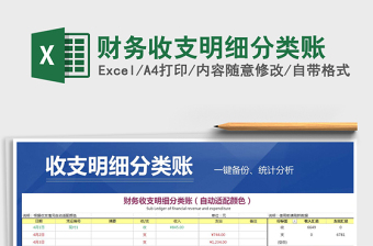 2021年財(cái)務(wù)收支明細(xì)分類賬