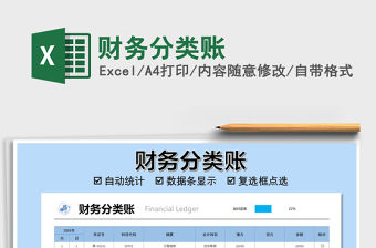 2021年財務分類賬