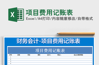 2021年項目費用記賬表