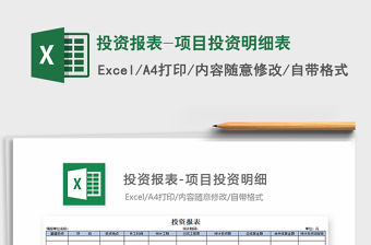 2021年投資報表-項目投資明細表