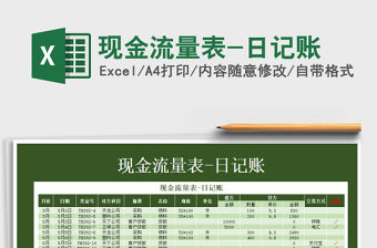 2021年現金流量表-日記賬