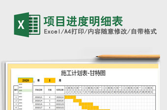2021年項目進度明細表