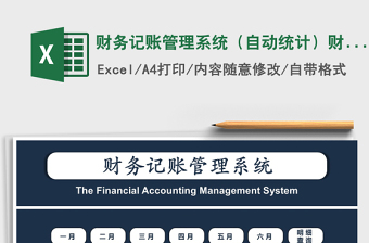 2021年財務(wù)記賬管理系統(tǒng)（自動統(tǒng)計）財務(wù)系統(tǒng)