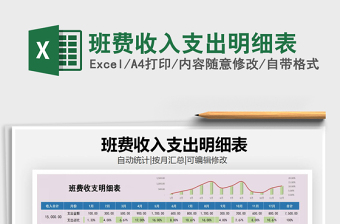 2021年班費(fèi)收入支出明細(xì)表
