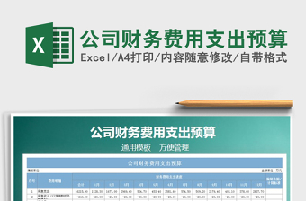 2022财务-费用支出预算报表