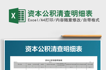 2021年資本公積清查明細(xì)表