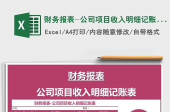 2021年財務(wù)報表-公司項目收入明細記賬表
